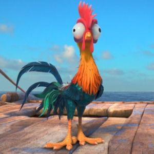 Meet your Posher, Todd